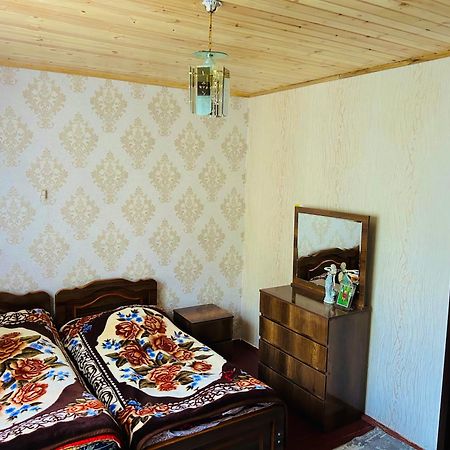 Vaso'S Guesthouse Katskhi 外观 照片