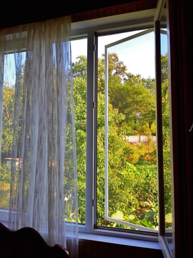 Vaso'S Guesthouse Katskhi 外观 照片