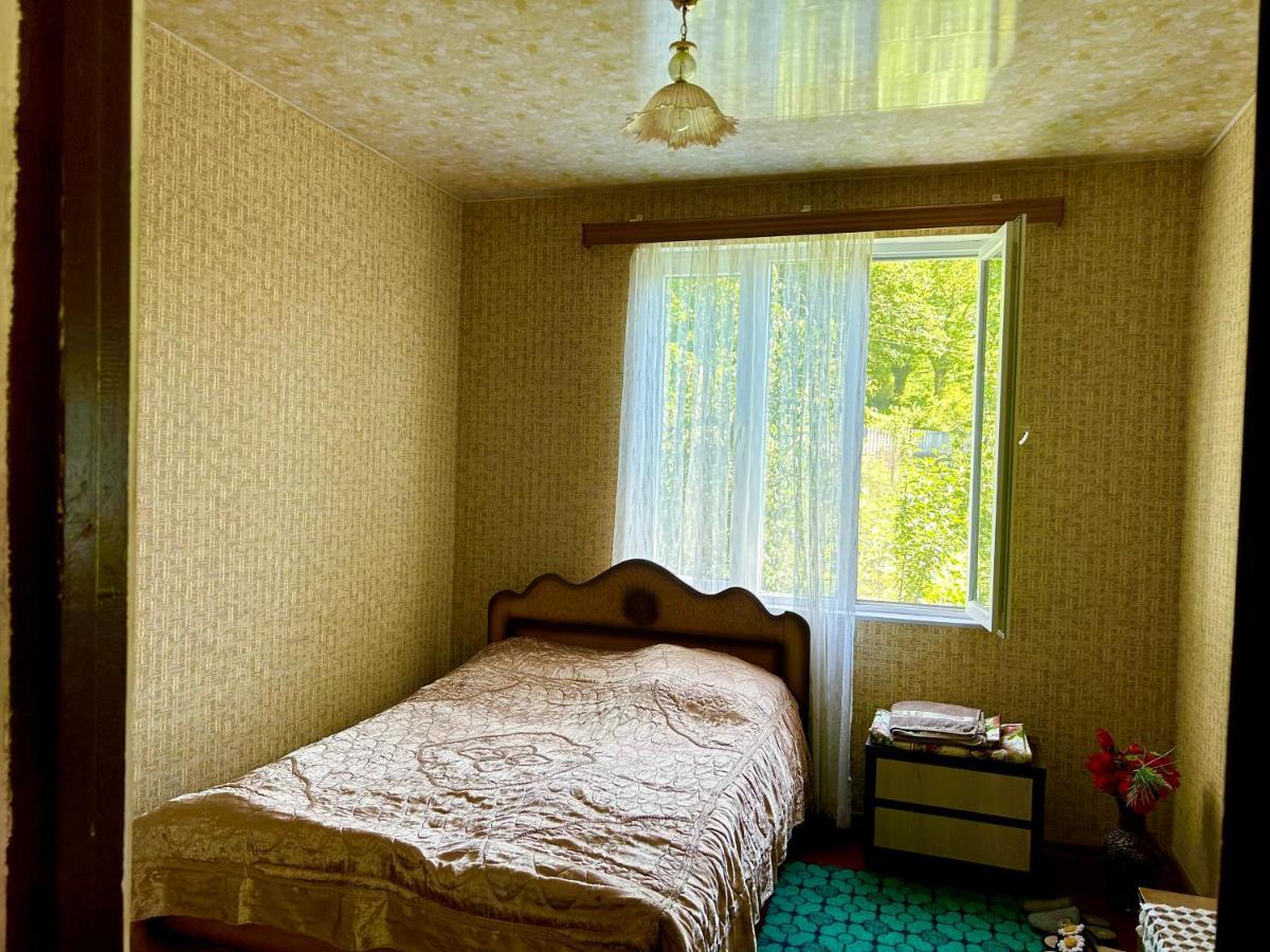 Vaso'S Guesthouse Katskhi 外观 照片